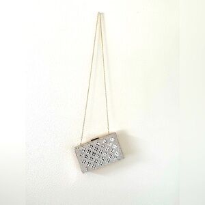 Silver clutch with gold chain